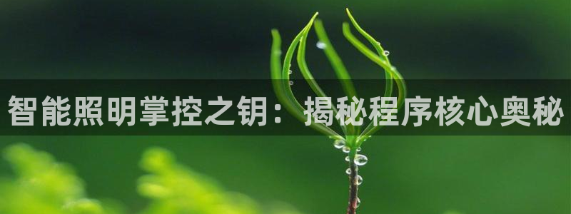 云顶国际--行业领导品牌