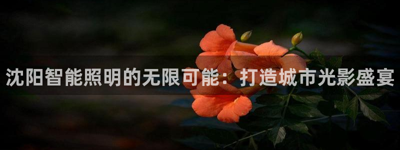 云顶国际投资有限公司