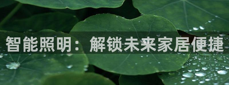 云顶国际太原店