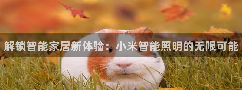 云顶国际集团游戏