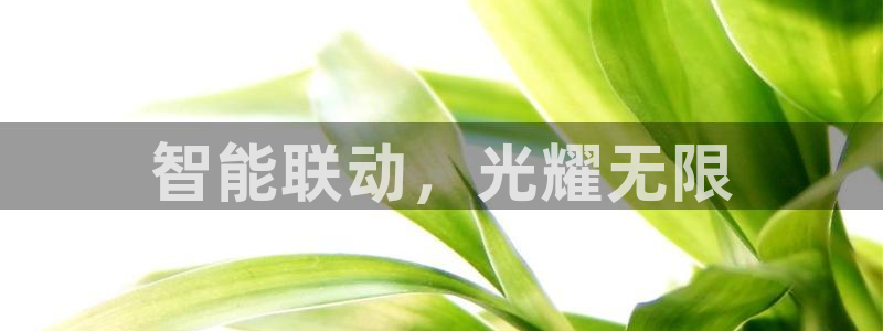 云顶线路检测 官方网站