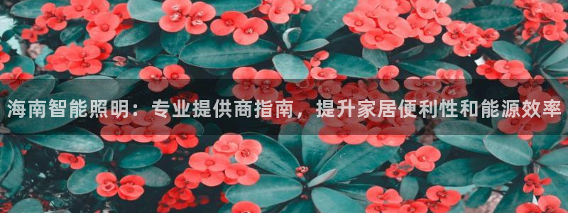 云顶国际部