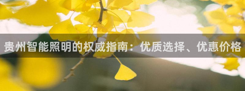 云顶国际高中