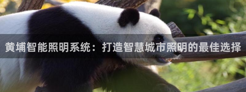 云顶国际软件官网下载