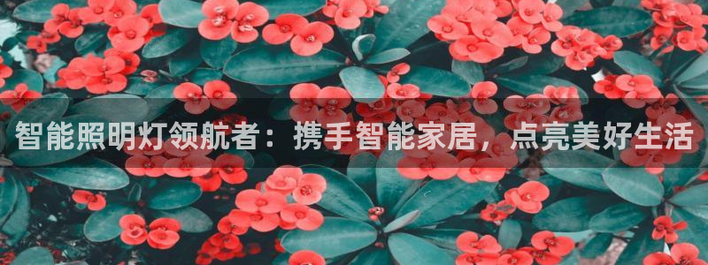 云顶集团 林国泰