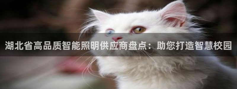 云顶国际服下面按键不灵敏