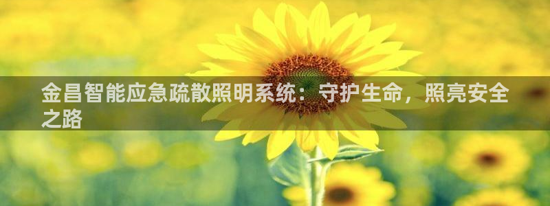 云顶国际服s6