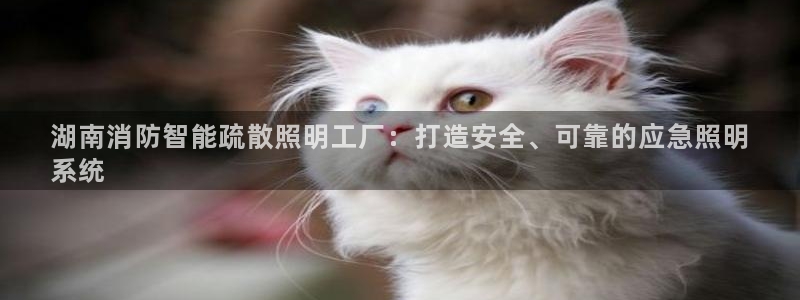 云顶集团genting
