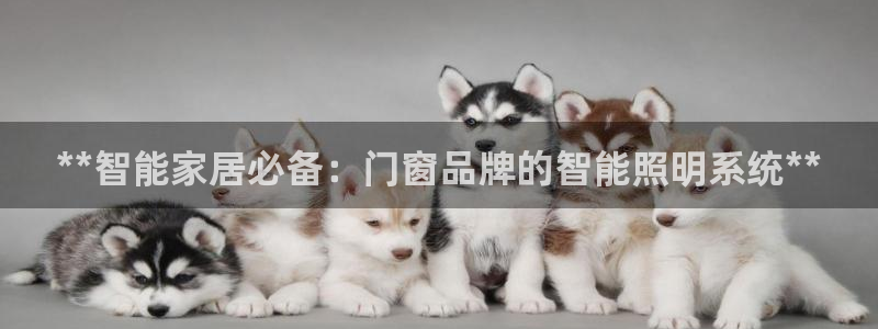 云顶国际麻将胡了几张牌