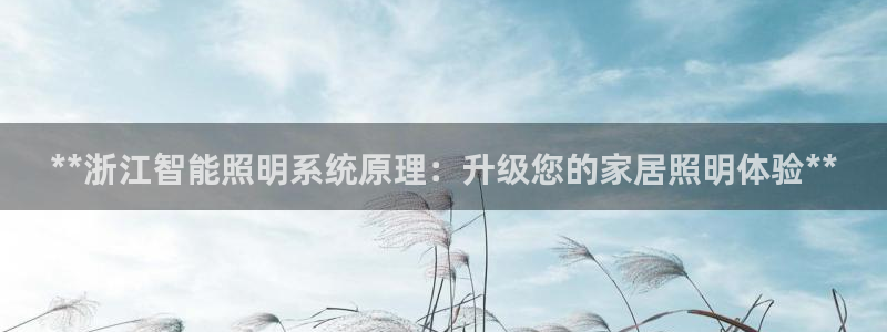 云顶t00