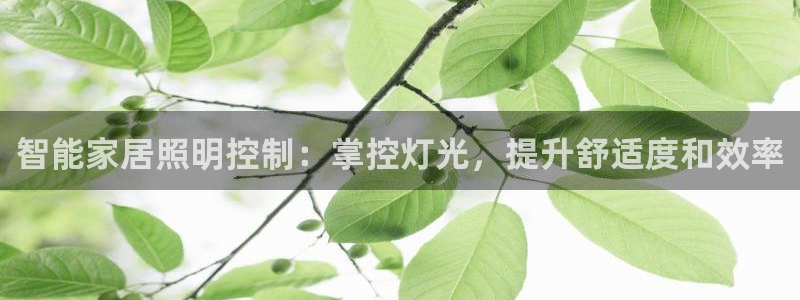 云顶国际app怎么样好用吗