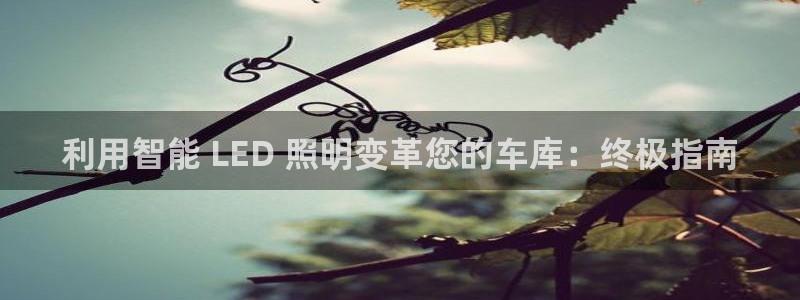 云顶集团创始人