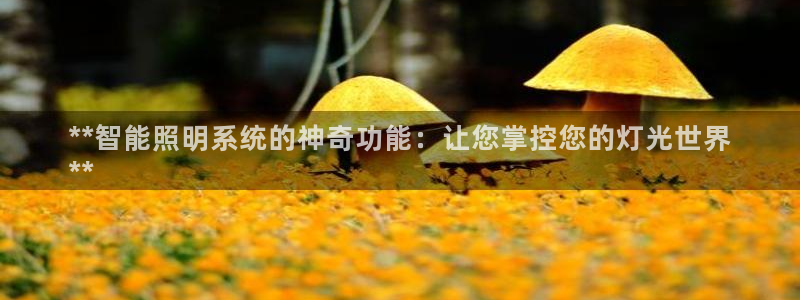 云顶国际集团游戏app