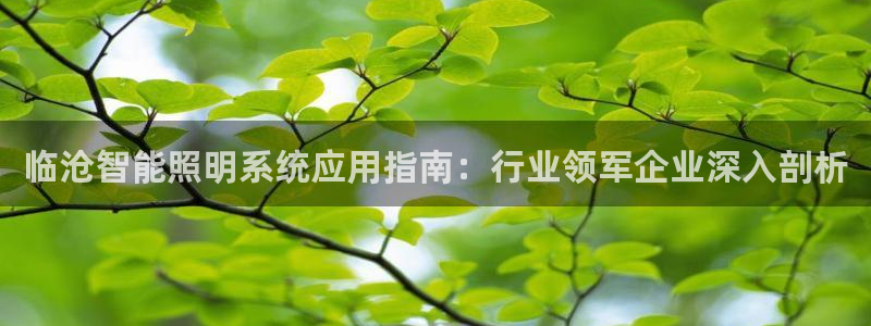 云顶国际投资有限公司