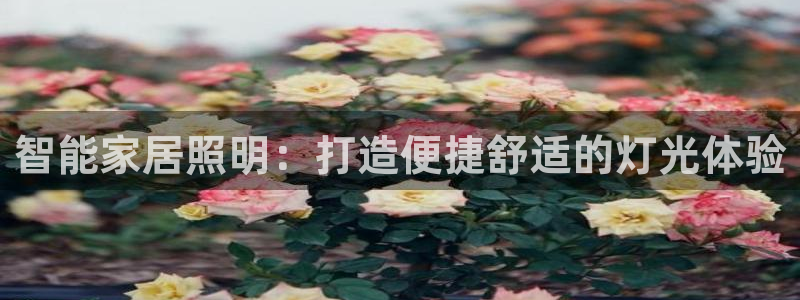 云顶国际酒店电话