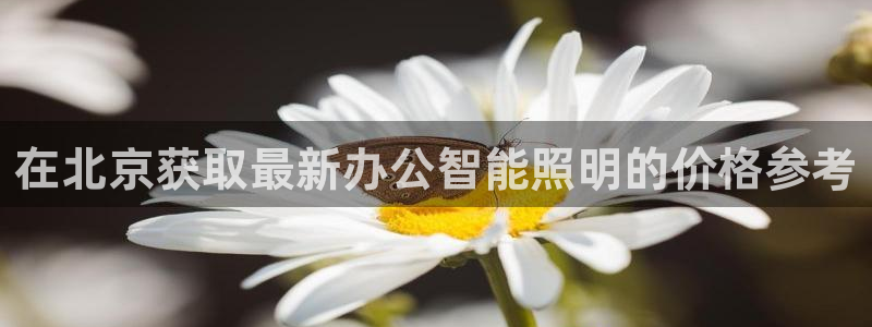 云顶集团 中国