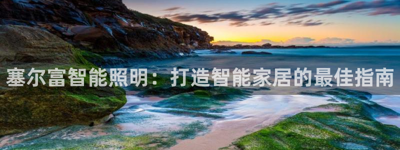 云顶2021