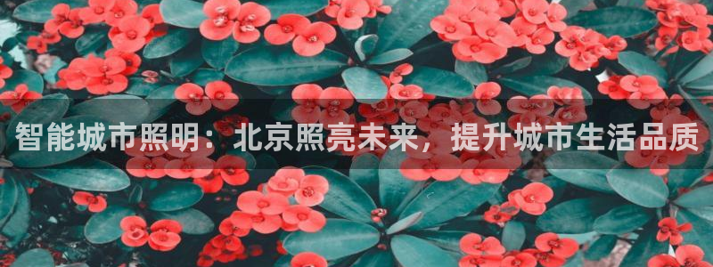 云顶国际服跨区数据