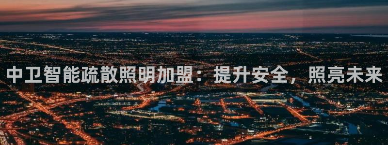 云顶集团有限公司,林东简历