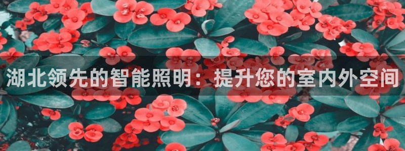 云顶国际公馆