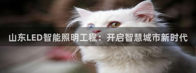 云顶国际官网app下载安装