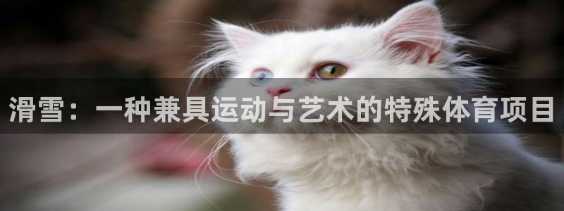 球客岛：滑雪：一种兼具运动与艺术的特殊体育项目