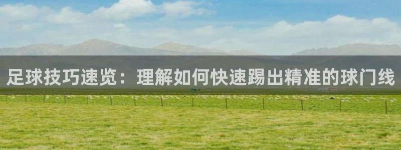 球客岛：足球技巧速览：理解如何快速踢出精准的球门线
