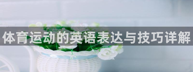 球客岛：体育运动的英语表达与技巧详解