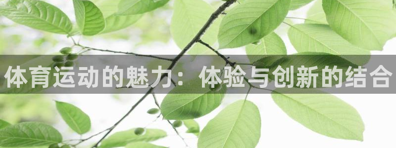 球客岛：体育运动的魅力：体验与创新的结合