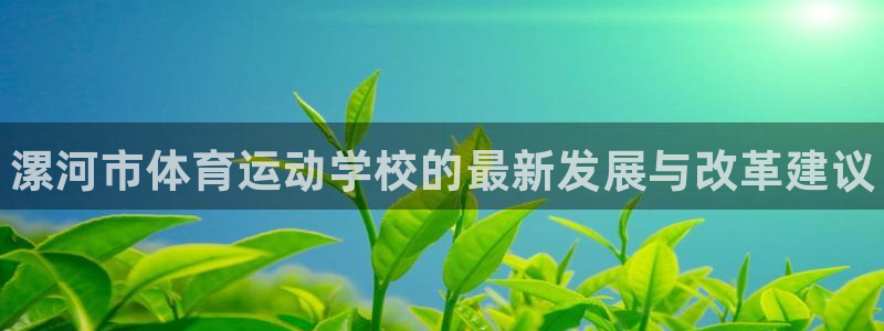 球客岛：漯河市体育运动学校的最新发展与改革建议