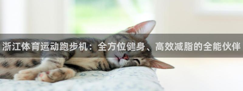 球客岛：浙江体育运动跑步机：全方位健身、高效减脂的全能伙伴