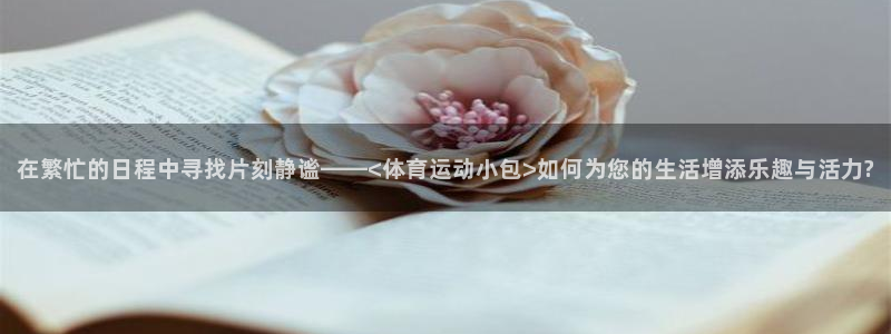 球客岛：在繁忙的日程中寻找片刻静谧——<体育运动小包>如何为您的生活增添乐趣与活力?