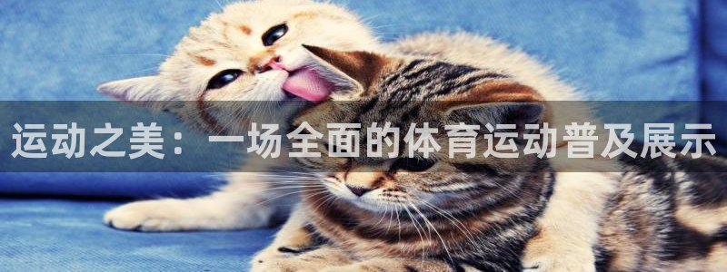 球客岛：运动之美：一场全面的体育运动普及展示