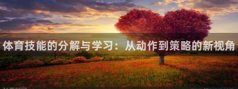 球客岛：体育技能的分解与学习：从动作到策略的新视角
