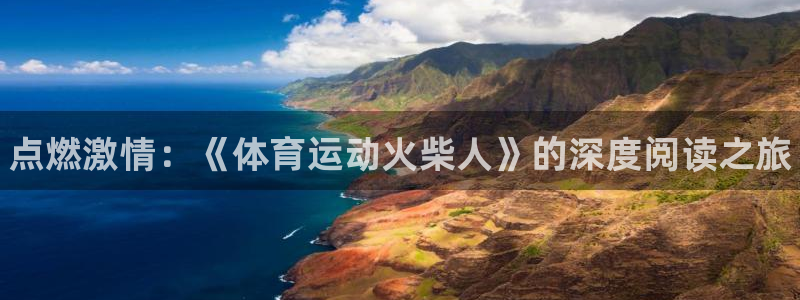 球客岛：点燃激情：《体育运动火柴人》的深度阅读之旅