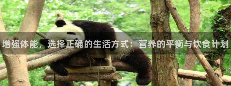 球客岛：增强体能，选择正确的生活方式：营养的平衡与饮食计划