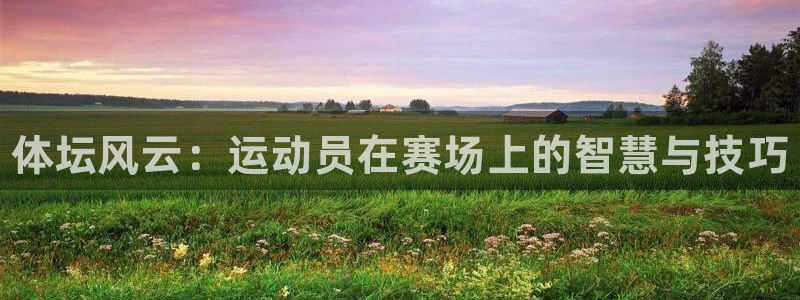 球客岛：体坛风云：运动员在赛场上的智慧与技巧