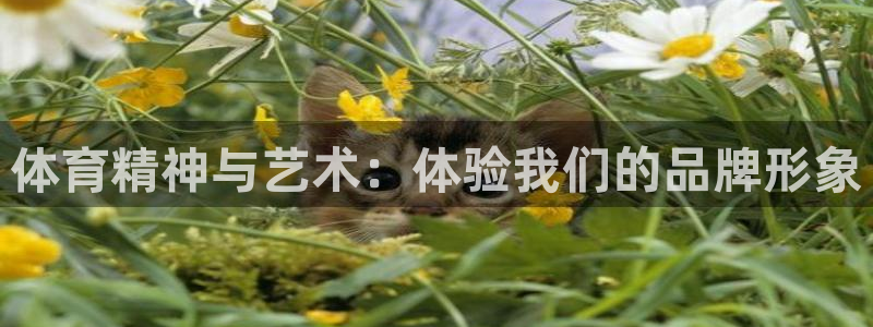 球客岛