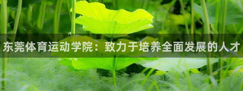 球客岛：东莞体育运动学院：致力于培养全面发展的人才