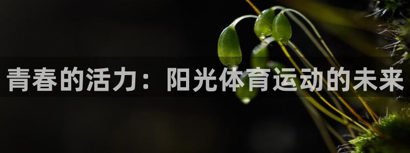 球客岛：青春的活力：阳光体育运动的未来
