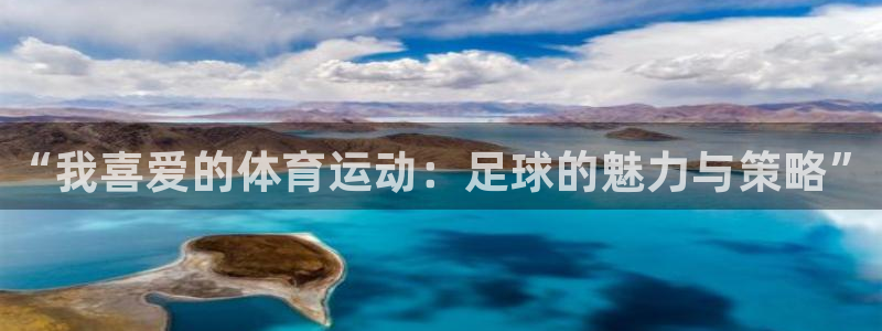 球客岛：“我喜爱的体育运动：足球的魅力与策略”