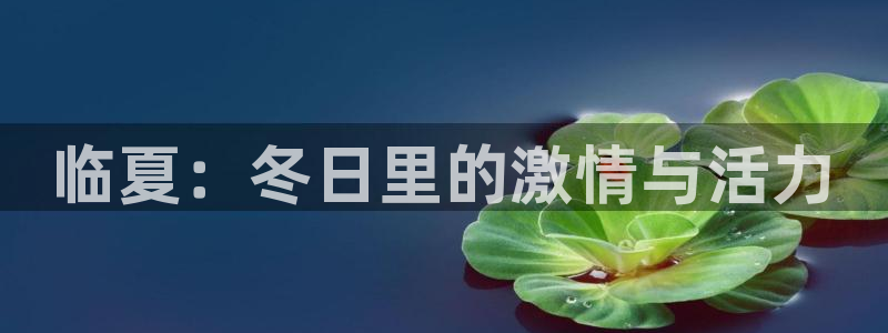 球客岛：临夏：冬日里的激情与活力