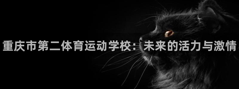 球客岛：重庆市第二体育运动学校：未来的活力与激情