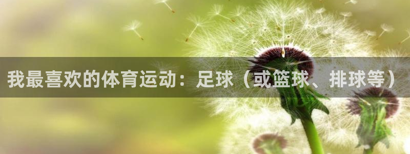 球客岛：我最喜欢的体育运动：足球（或篮球、排球等）