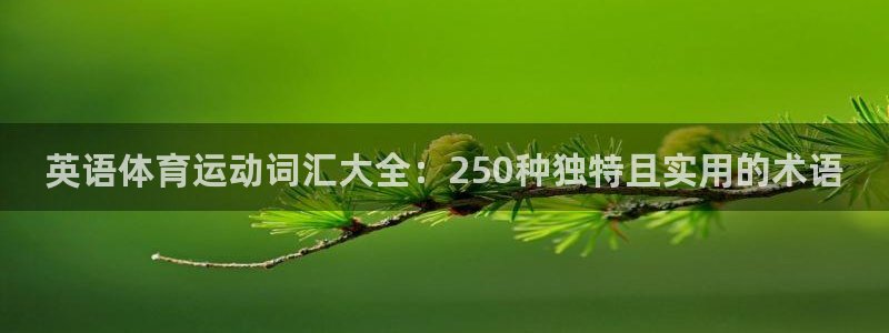 球客岛：英语体育运动词汇大全：250种独特且实用的术语