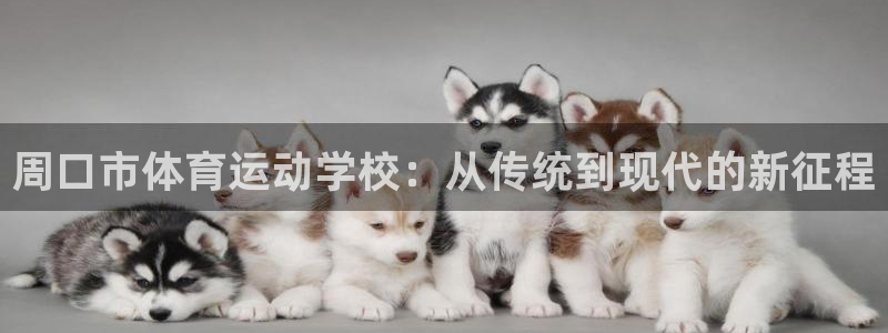 球客岛：周口市体育运动学校：从传统到现代的新征程