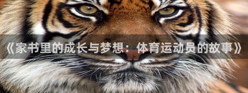 球客岛：《家书里的成长与梦想：体育运动员的故事》
