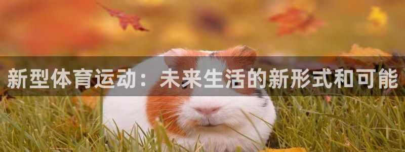 球客岛：新型体育运动：未来生活的新形式和可能