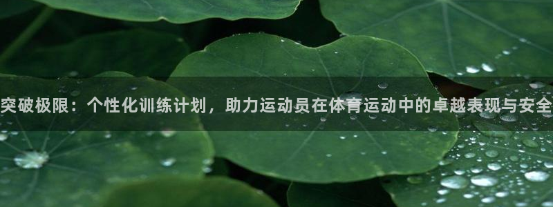 球客岛：突破极限：个性化训练计划，助力运动员在体育运动中的卓越表现与安全