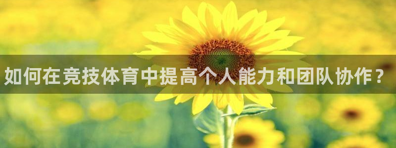 球客岛：如何在竞技体育中提高个人能力和团队协作？